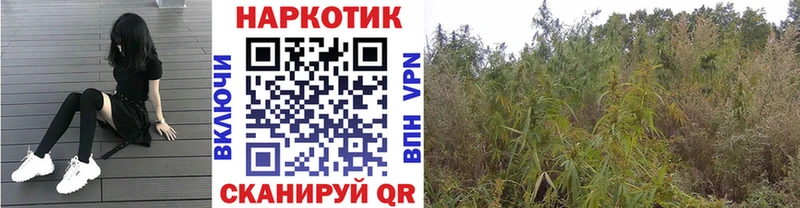 Где купить наркотики Сибай APVP Мефедрон ГАШИШ Марихуана