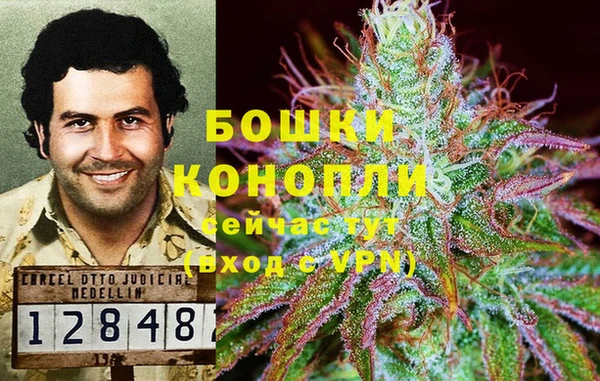 гидропоника Армянск