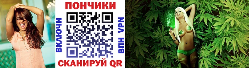 купить наркоту  Сибай  Бошки Шишки гибрид 